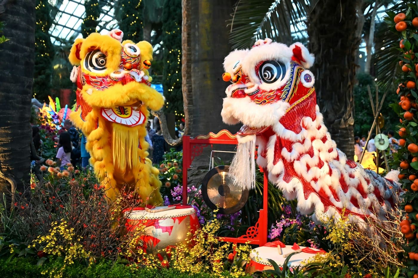 Mừng năm mới